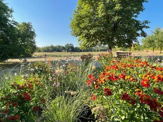 Windelsbach Gasthof Linden & Wildkraeuterhotel גרמניה